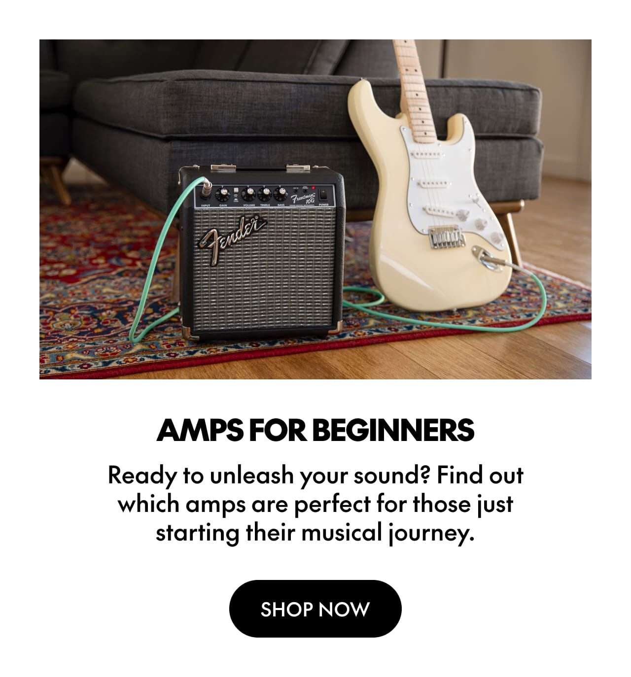 Amps for Beginners | Shop Now