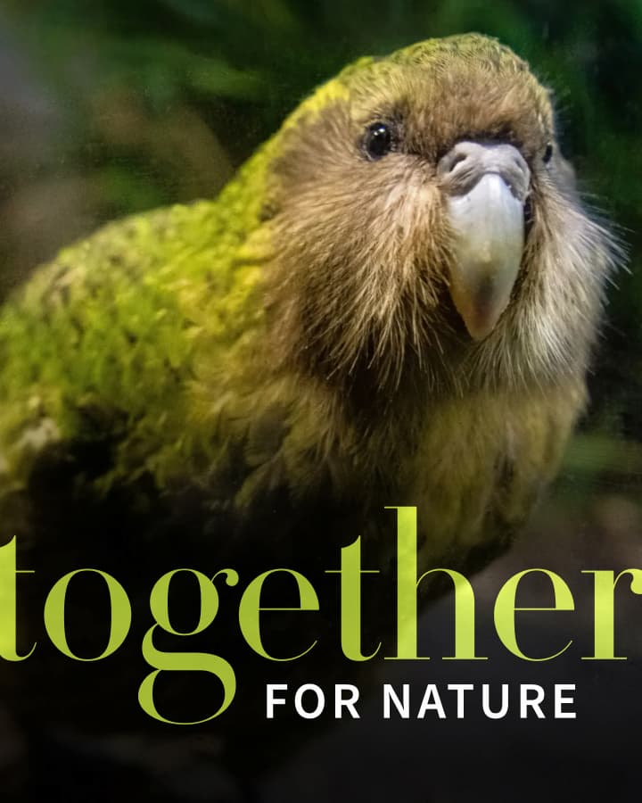 Together for nature