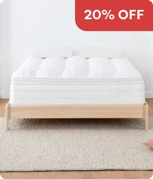 Shop Aerolux Euro Pillow Top Mattress