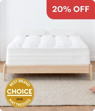 Shop Aerolux Euro Pillow Top Mattress