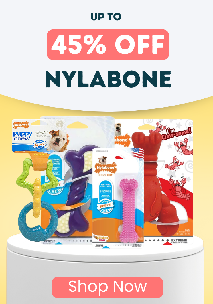 Up to 45% OFF Nylabone
