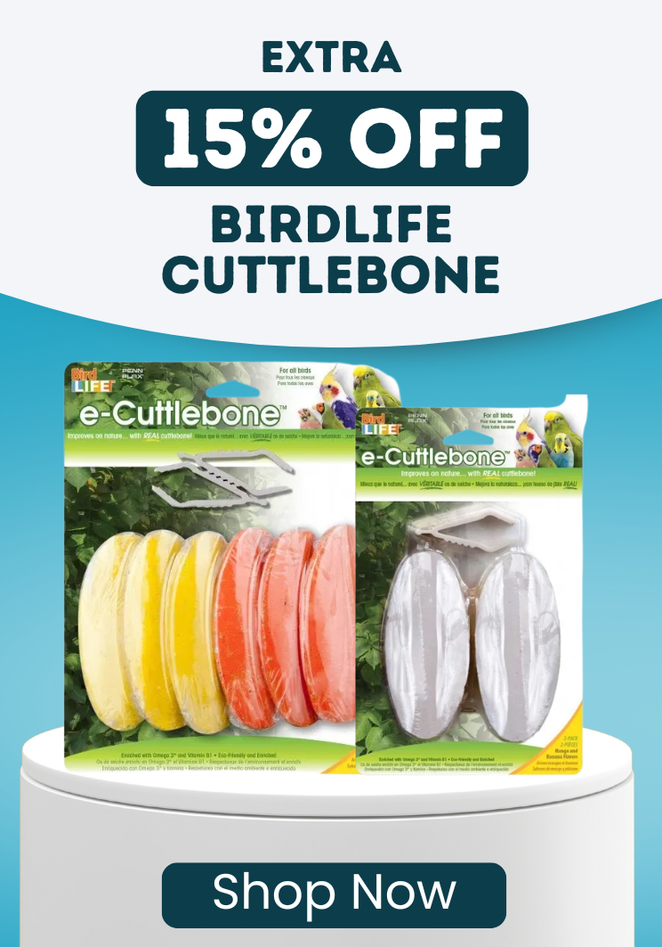 Extra 15% OFF Cuttlebone