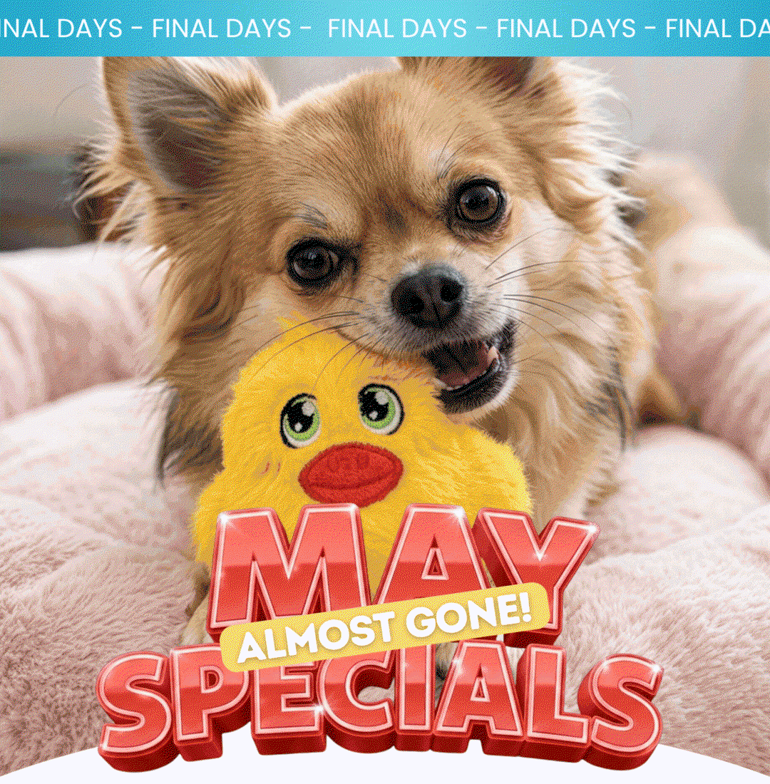 Shop Last Chance Specials