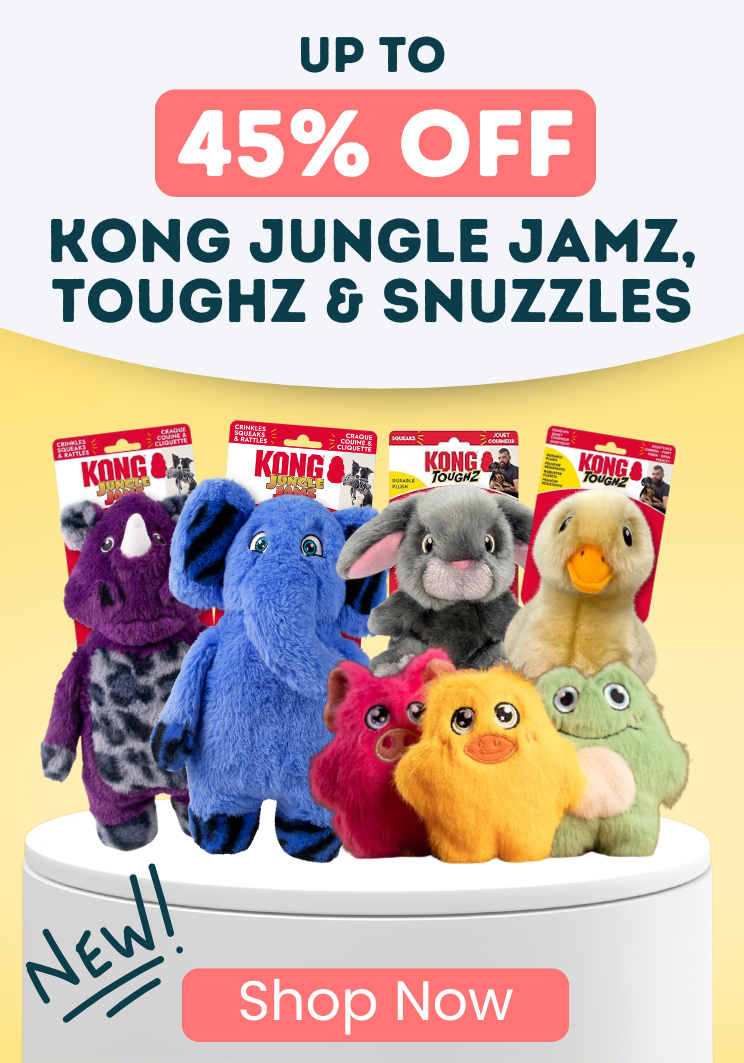 Up to 40% OFF KONG New Arrivlas