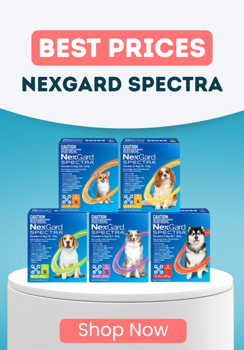 BEST PRICES NEXGARD SPECTRA