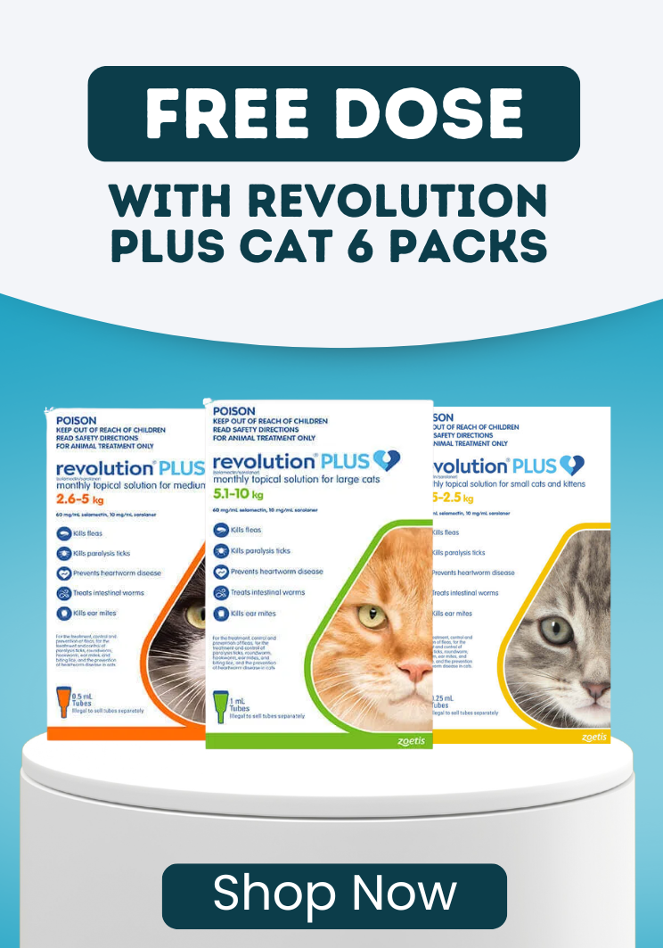 FREE DOSE Revolution plus Cat 6 Packs