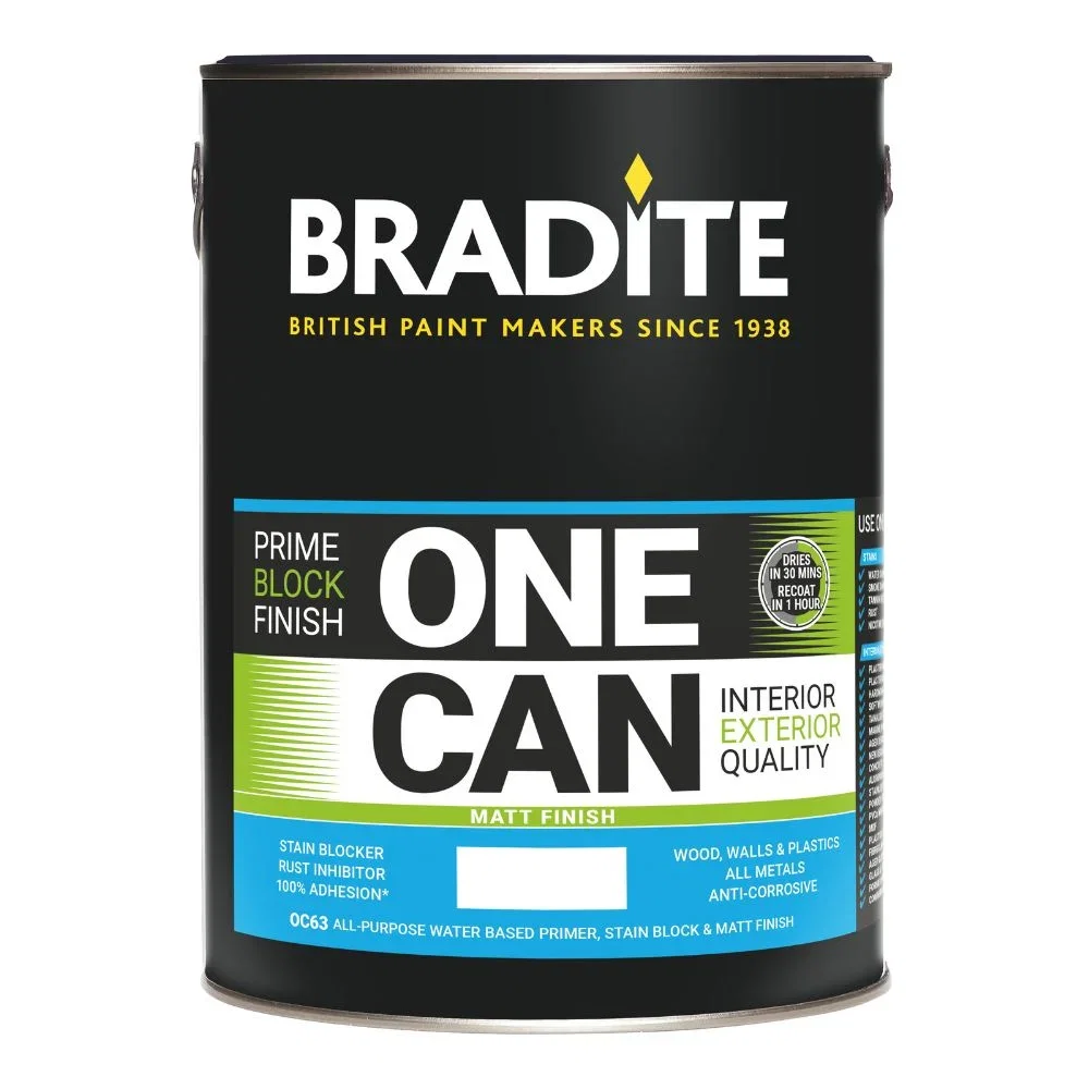 Image of Bradite One Can Matt Tinted Colour Match