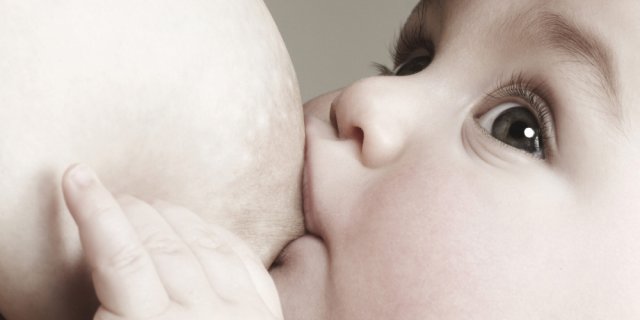 Bébé au sein 