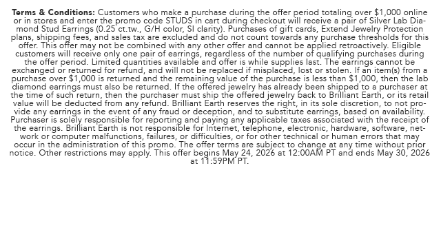 Promo Terms
