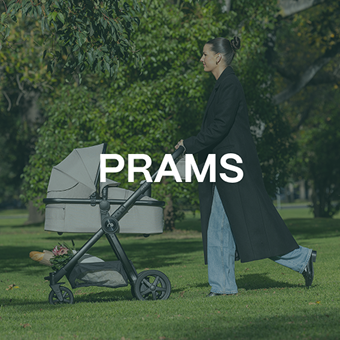 PRAMS