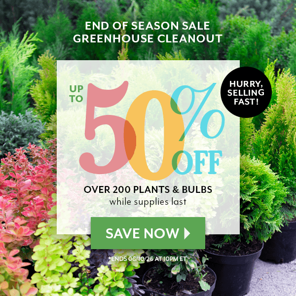 end of season greenhouse cleanout - up to 50% off