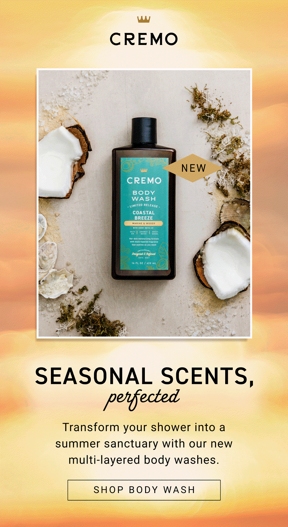 Seasonal scents, perfected – Shop Body Wash