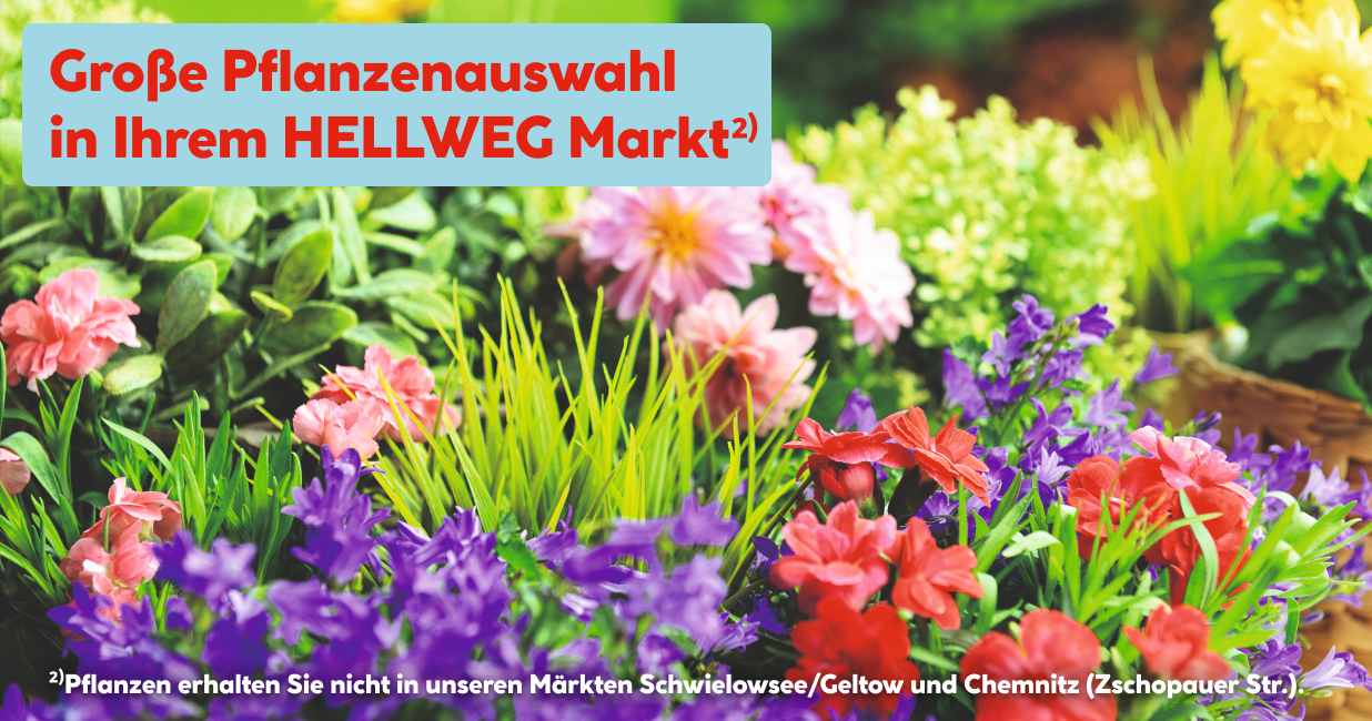 Markt