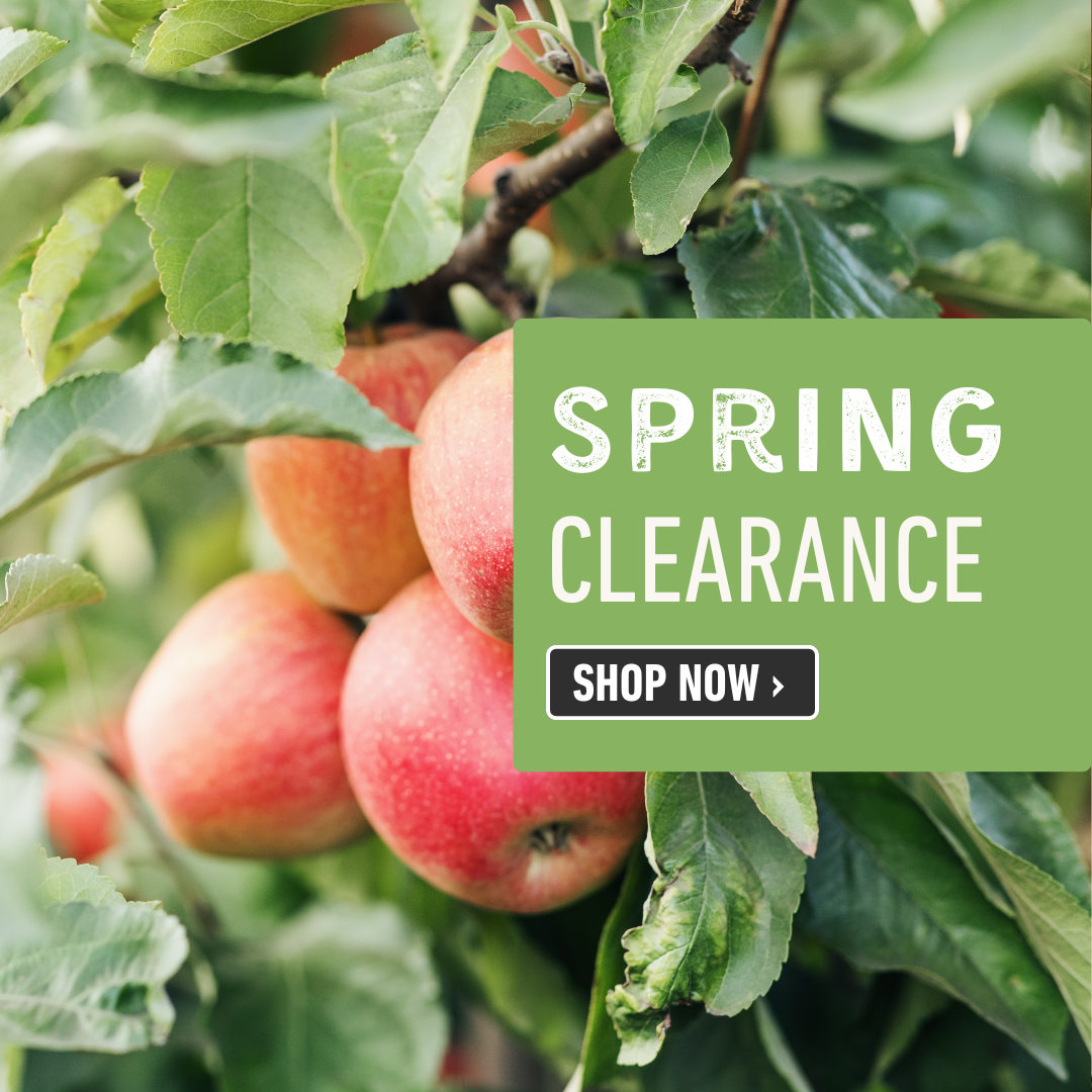Spring Clearance Sale Banner