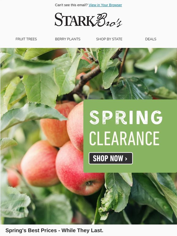 📣🌳 [CLEARANCE] Spring's Best Prices