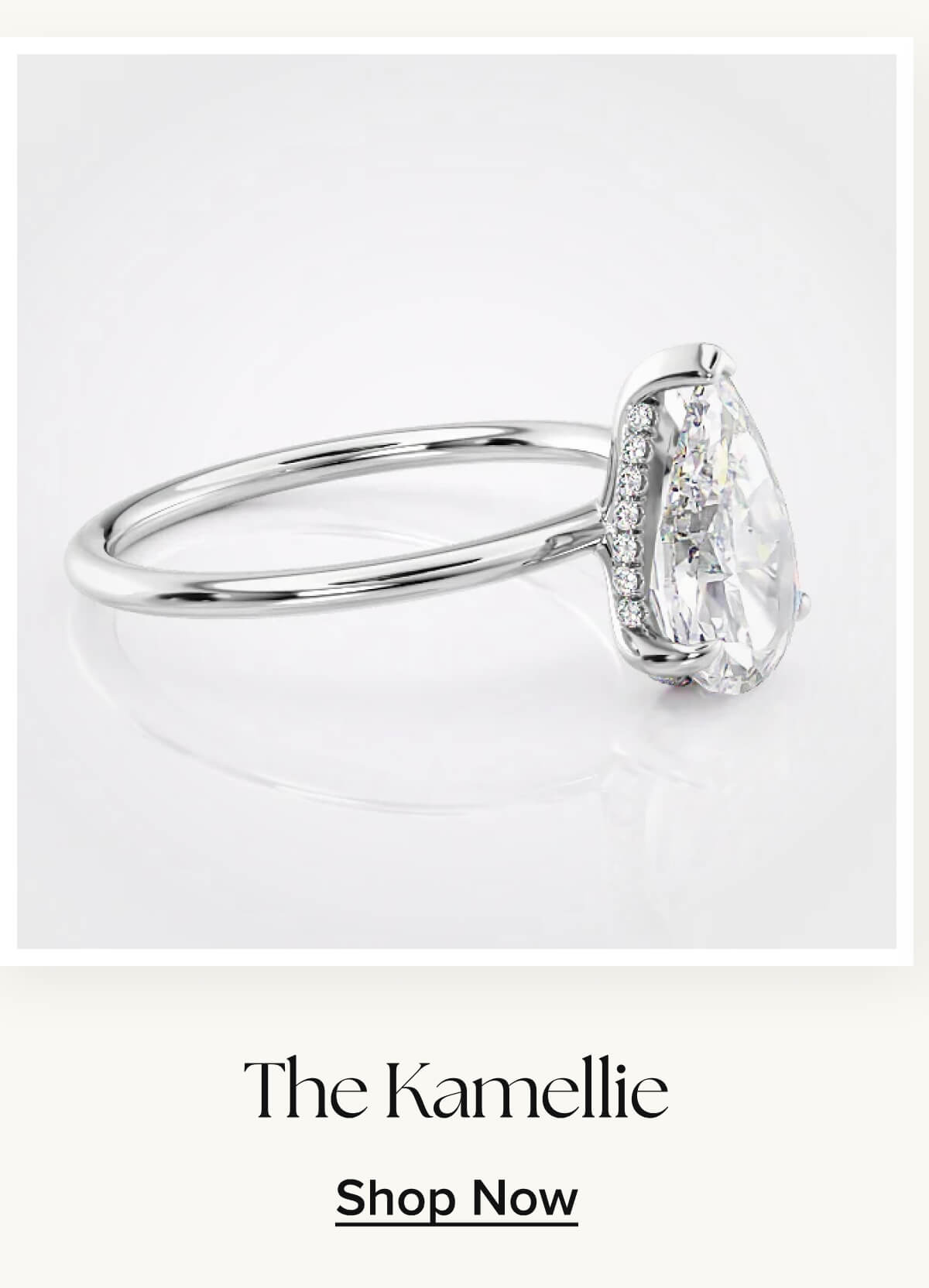 The Kamellie
