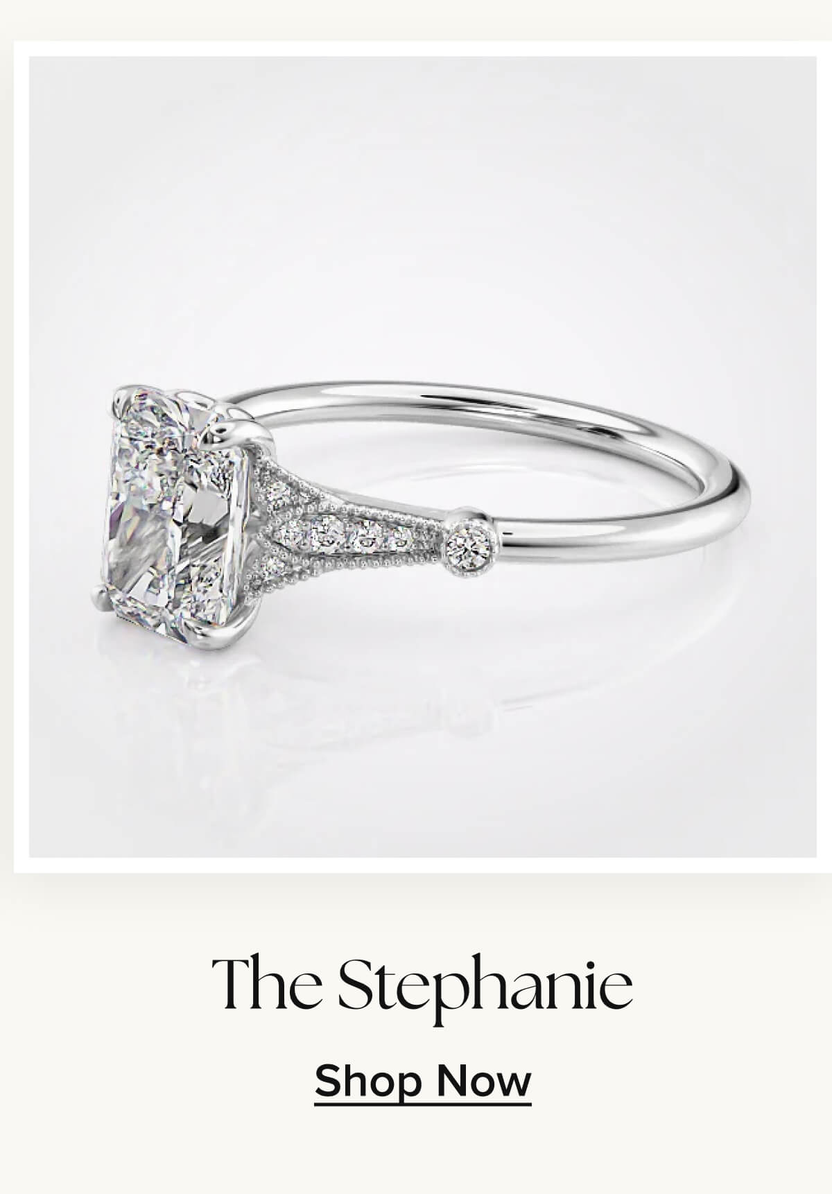 The Stephanie