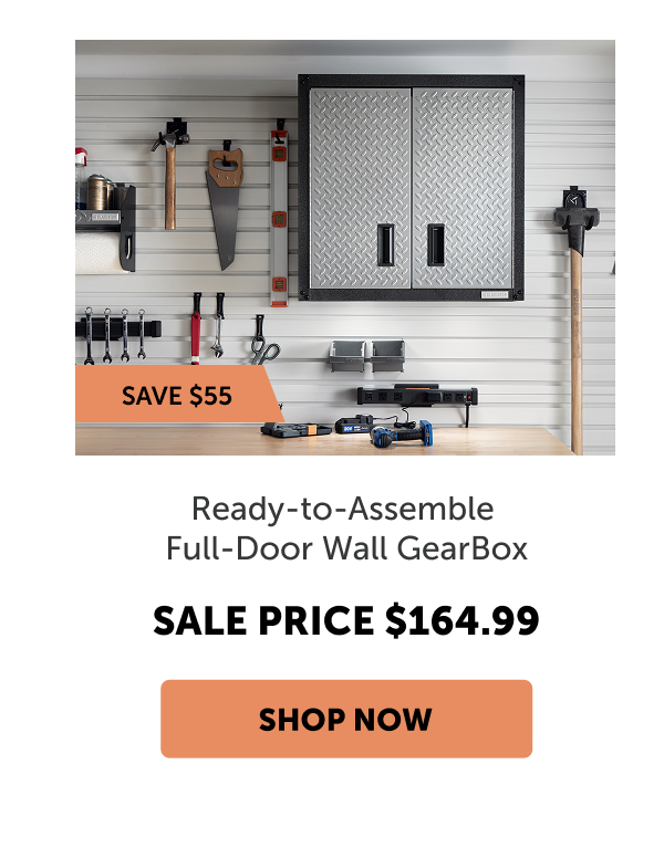 Ready-to-Assemble Full-Door Wall GearBox
