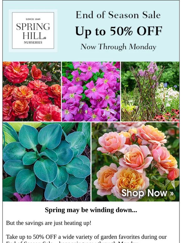 End of Season Sale | Save up to 50%