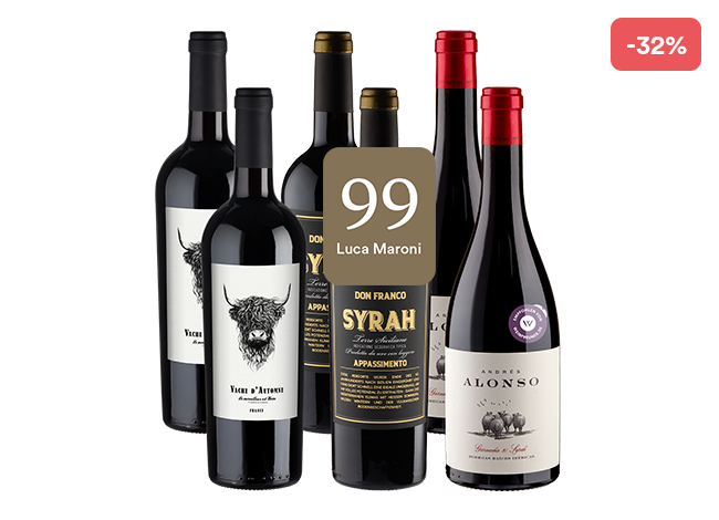 6er-Paket Grillwein Favoriten