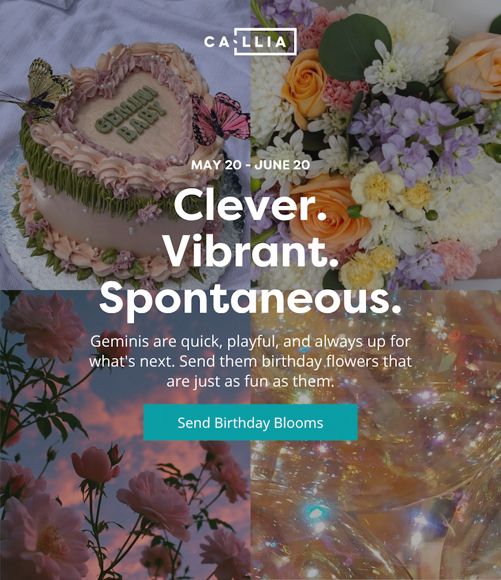 Collage of images that represent a Gemini