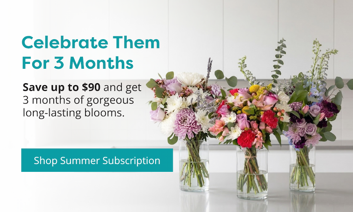 Three Callia summer bouquets on a kitchen counter