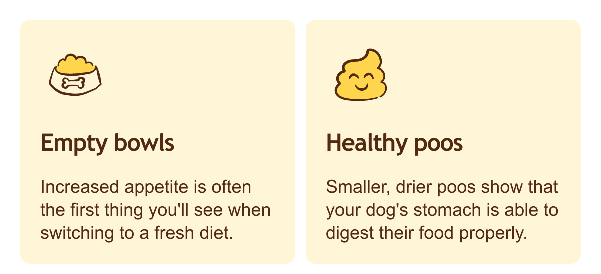 Empty bowls: Increased appetite is often the first thing you'll see when switching to a fresh diet. I Healthy poos: Smaller, drier poos show that your dog's stomach is able to digest their food properly.