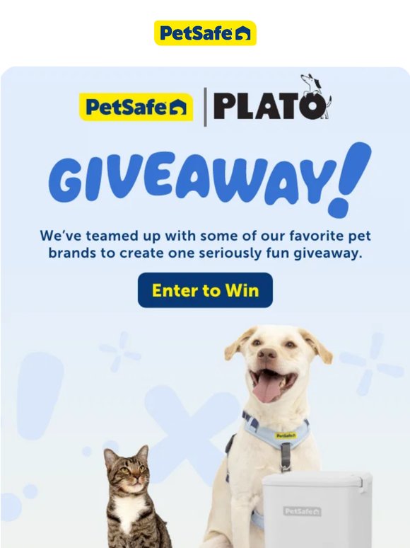 Last Chance to Win Big for Your Pet