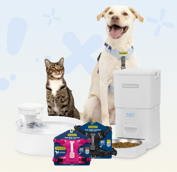 Dog and cat with items from prize bundle