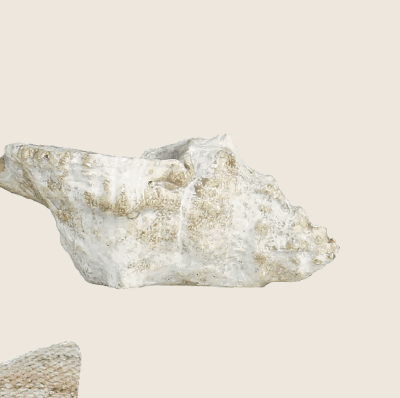 Kiva Cast Conch