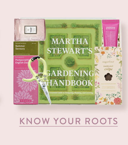 Know Your Roots