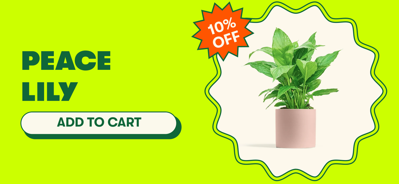 Memorial Day Sale up to 20% off