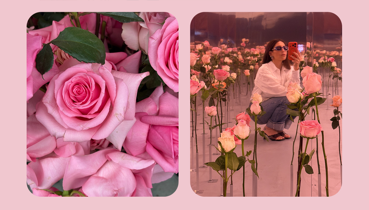 Infinity Rose Garden - 2 & 3