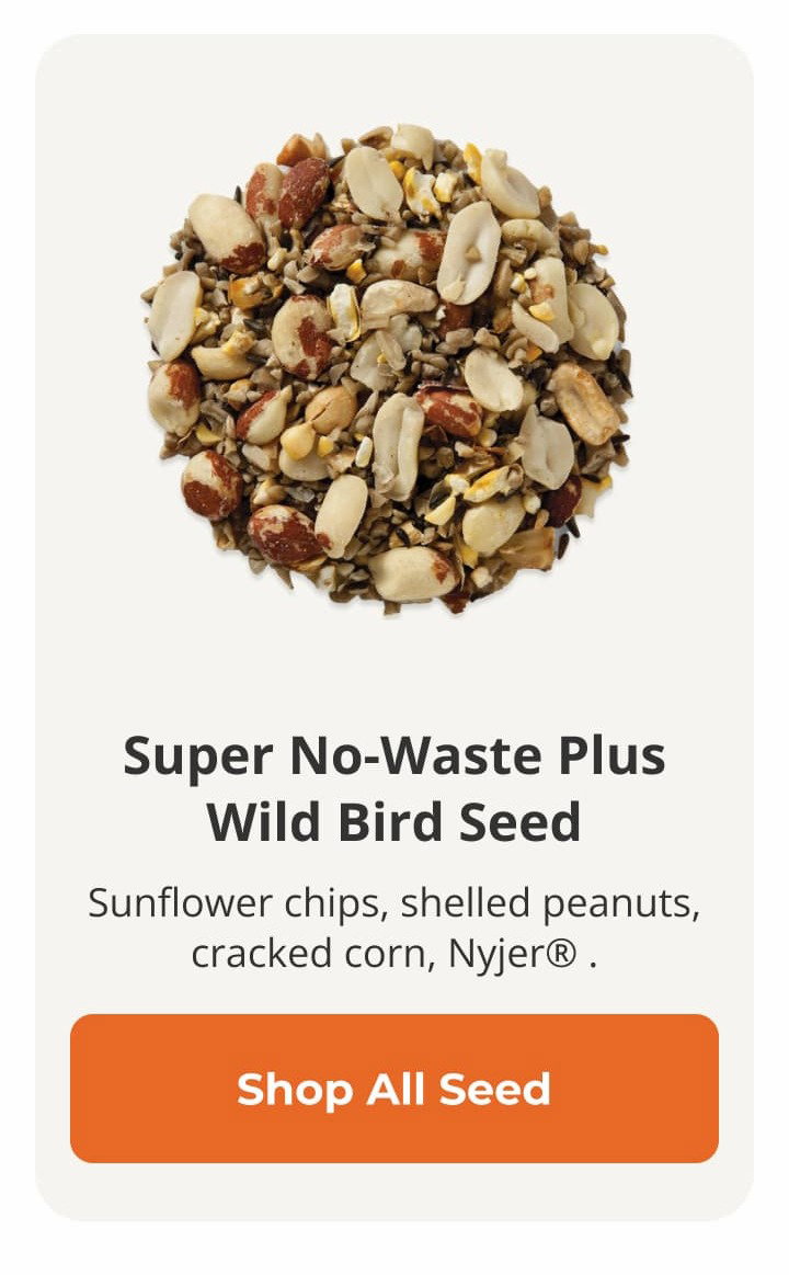 Super No-Waste Plus Wild Bird Seed