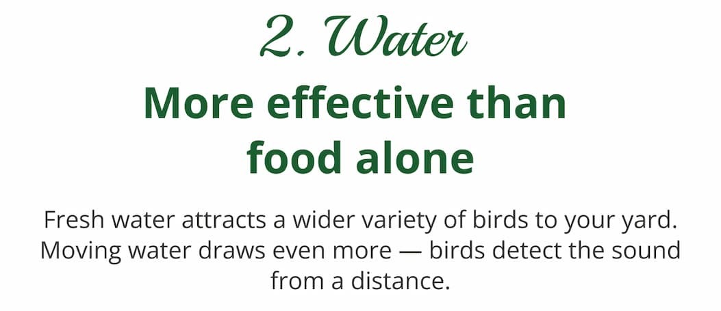 Water — often more effective than food alone