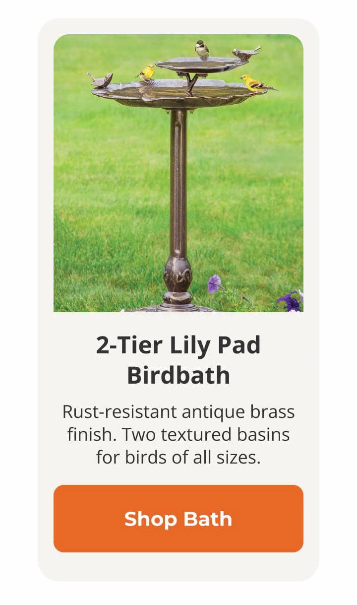2-Tier Lily Pad Birdbath