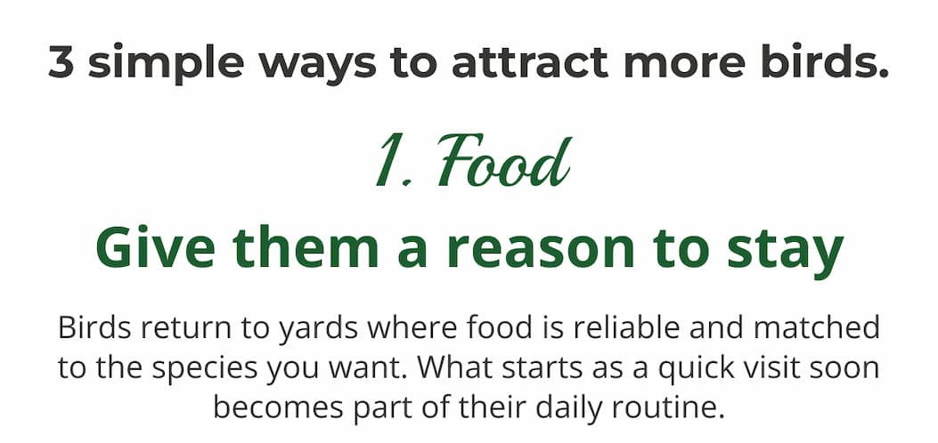 3 simple ways to attract more birds this spring