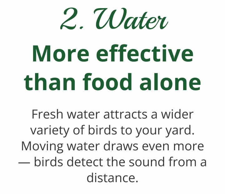 Water — often more effective than food alone