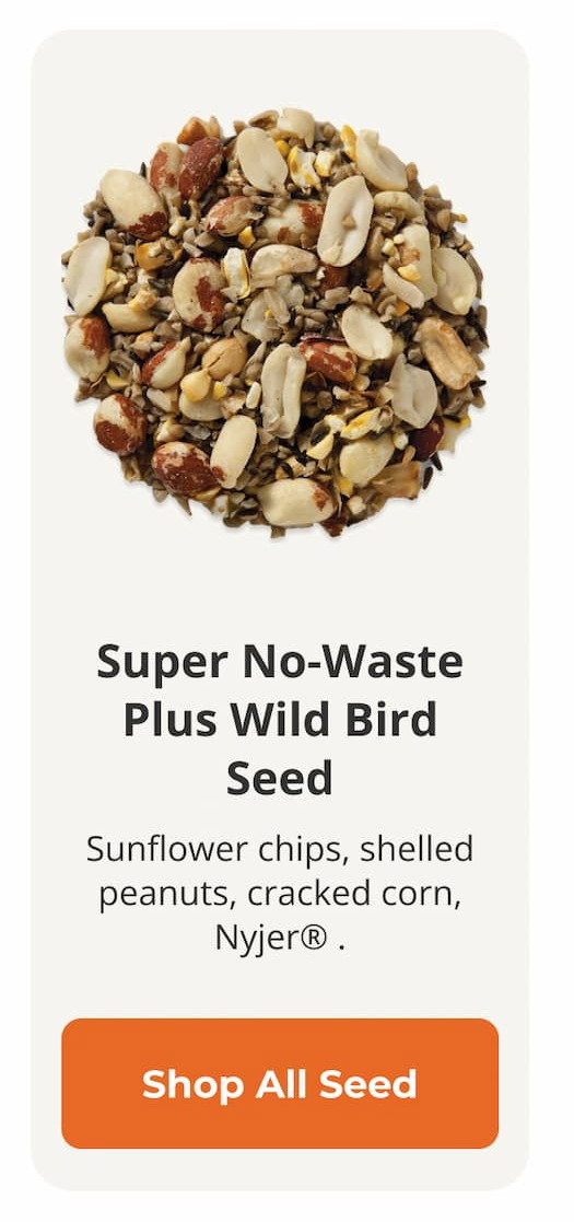 Super No-Waste Plus Wild Bird Seed