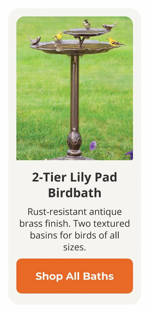 2-Tier Lily Pad Birdbath