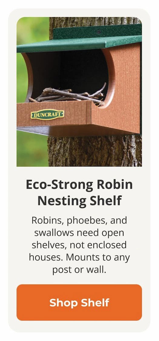 Eco-Strong Robin Nesting Shelf
