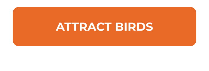 Attract birds
