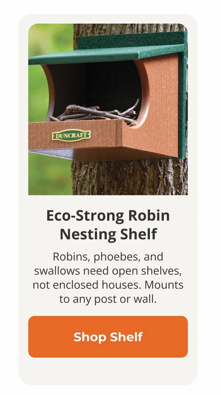 Eco-Strong Robin Nesting Shelf