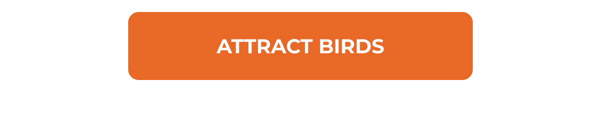 Attract birds