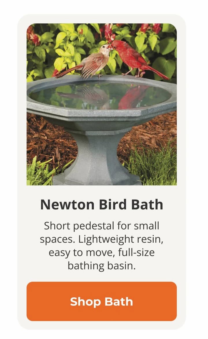 Newton Bird Bath