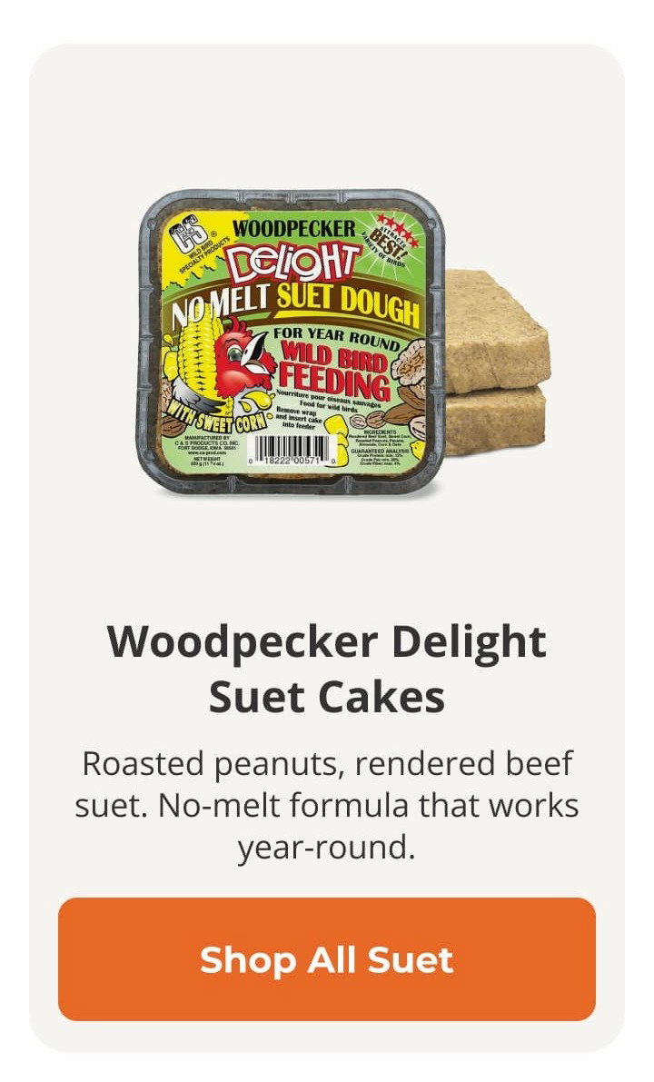 Woodpecker Delight Suet Cakes