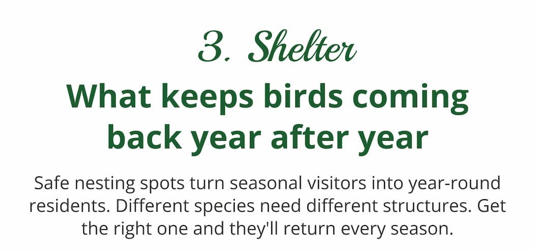 Shelter — what keeps birds coming back year after year