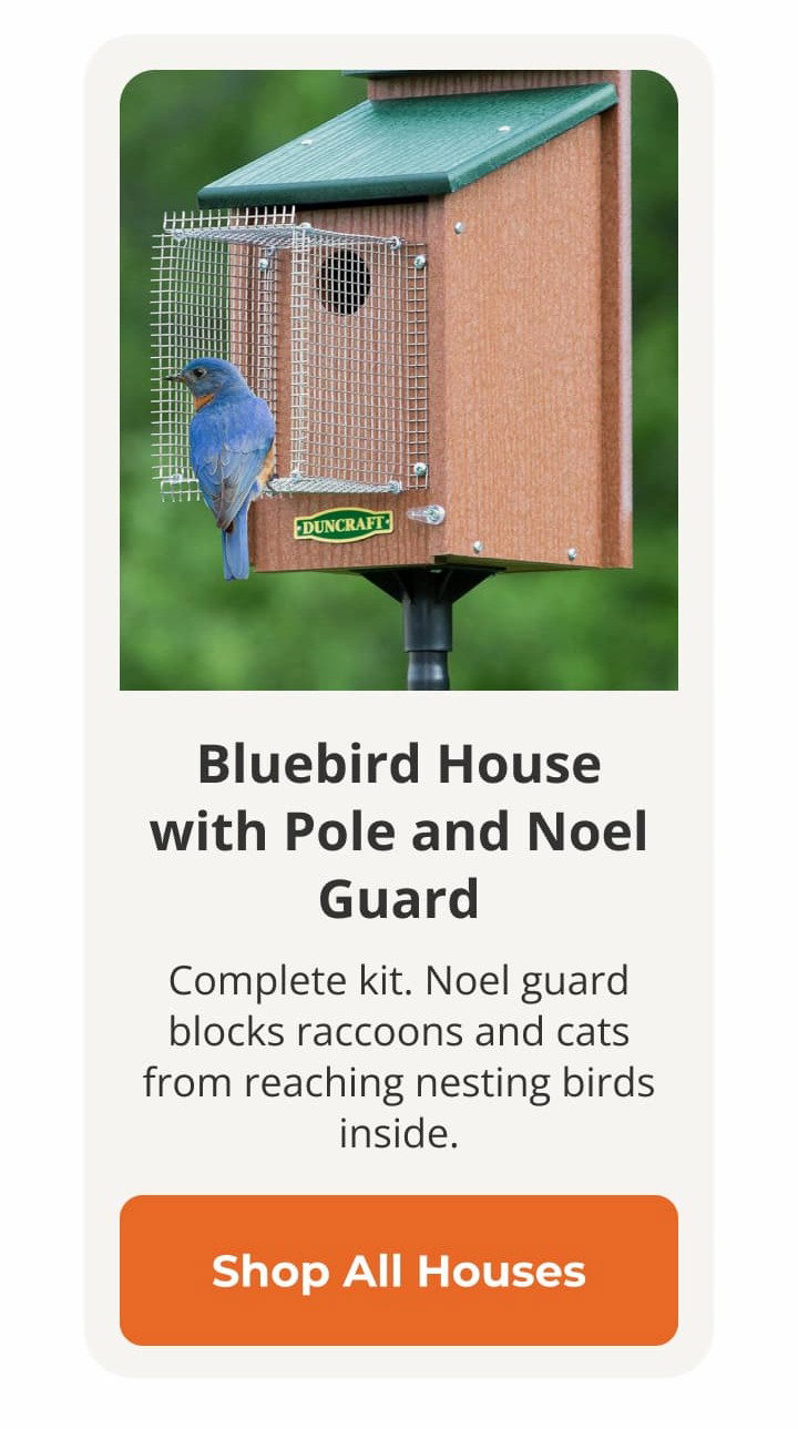Bluebird House with Pole and Noel Guard