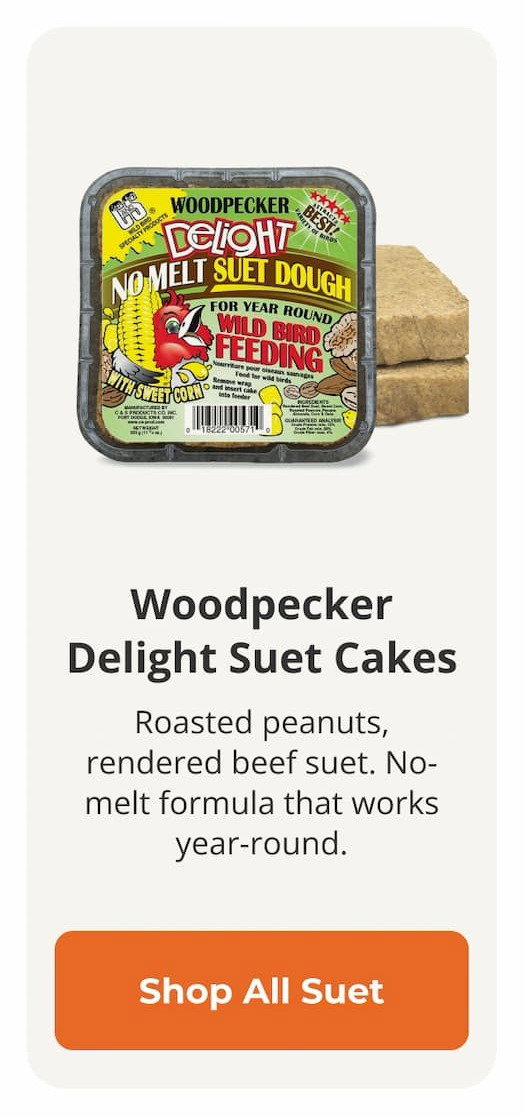 Woodpecker Delight Suet Cakes