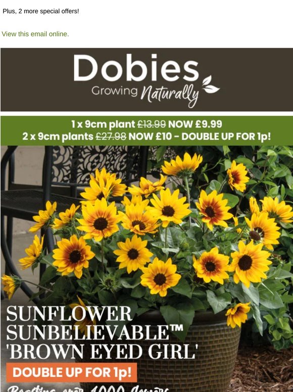 2 SunBelievable pots for £5 each!